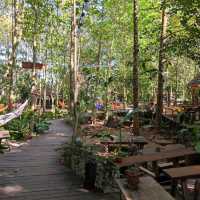 กาแฟในป่า ร้อยเอ็ด