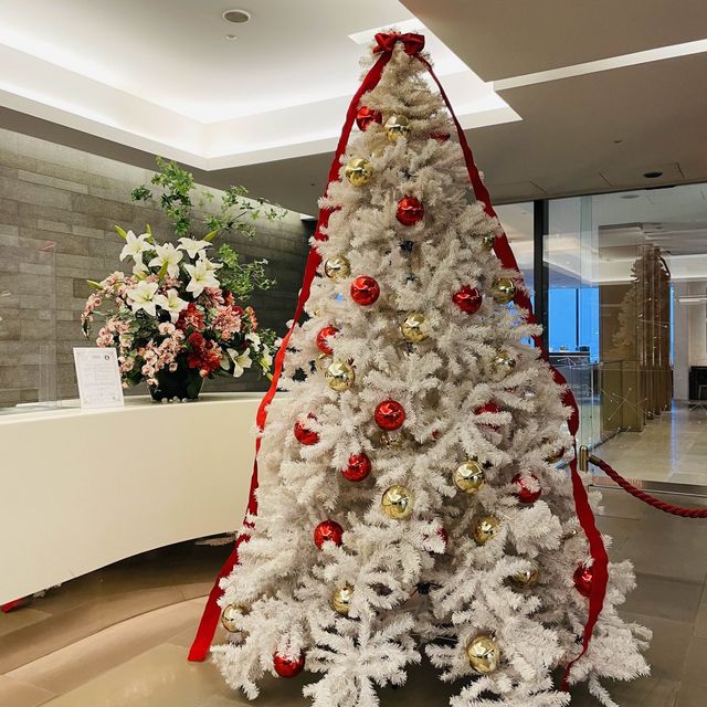 【成田空港】JAL国際線ラウンジ sakura loungeレポート 【成田空港】JAL国際線ラウンジ sakura loungeレポート