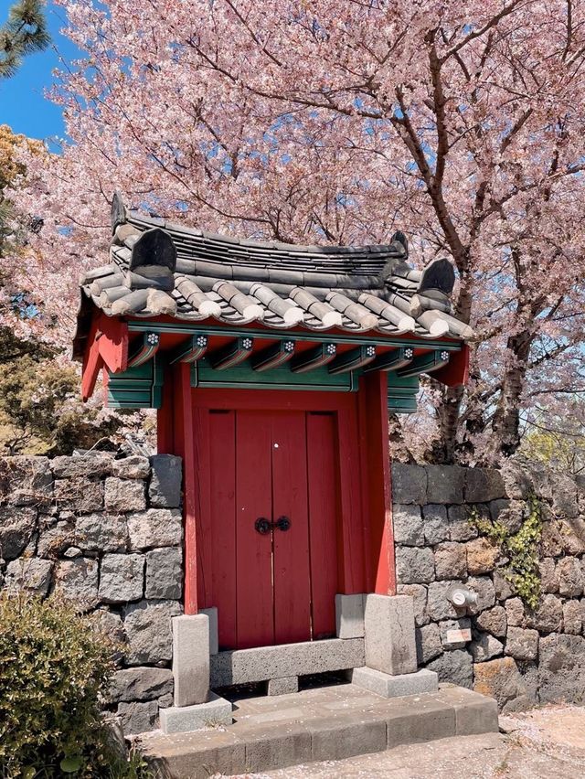 봄이 기다려지는 이유🌸