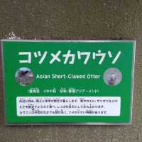 ひらかたパークの可愛い動物たち