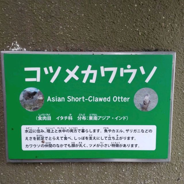 ひらかたパークの可愛い動物たち