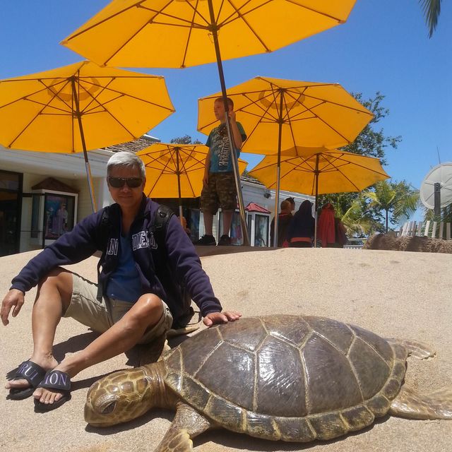 親親大自然與海獅共舞！