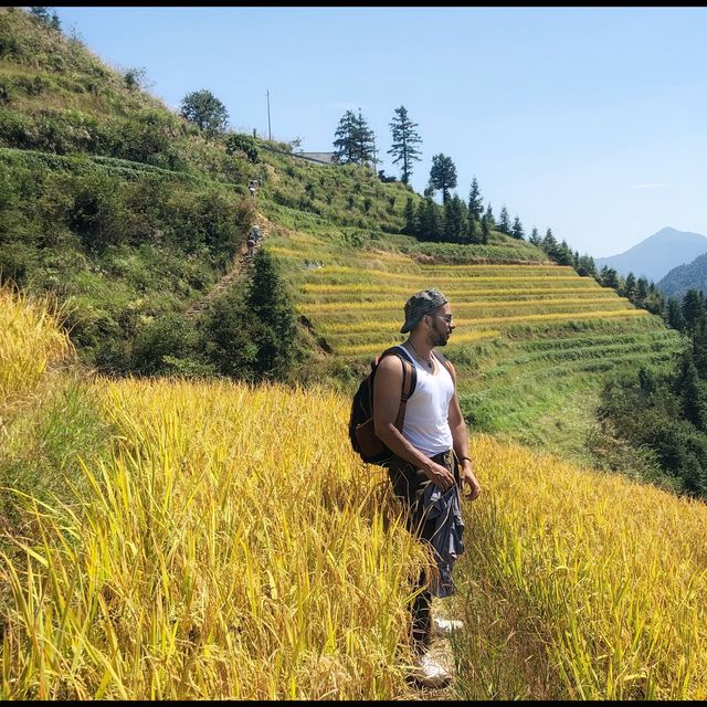 Rice terraces in Guilin