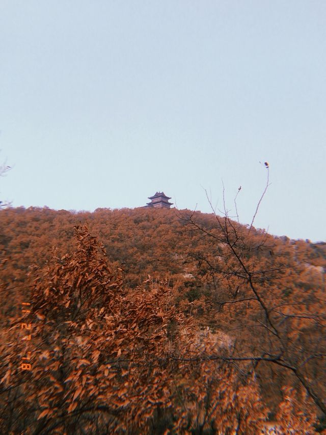 Lantau Peak Yantai 