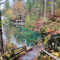 Autumn in Blausee Lake