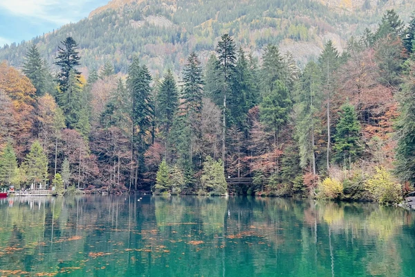 Autumn in Blausee Lake | Trip.com Kandergrund
