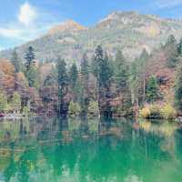 Autumn in Blausee Lake