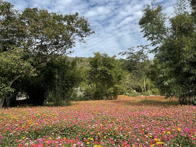 Sanya - Nanshan Cultural Park