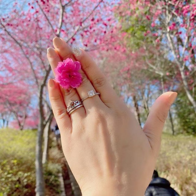 Yongfu Cherry Blossom Garden, Longyan