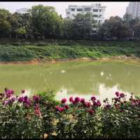 Gulshan Lake Park 