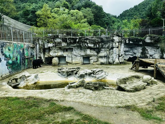 Different species of animals at Qianling Zoo