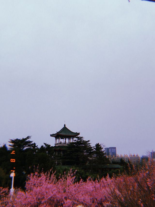Spring In Yantai 