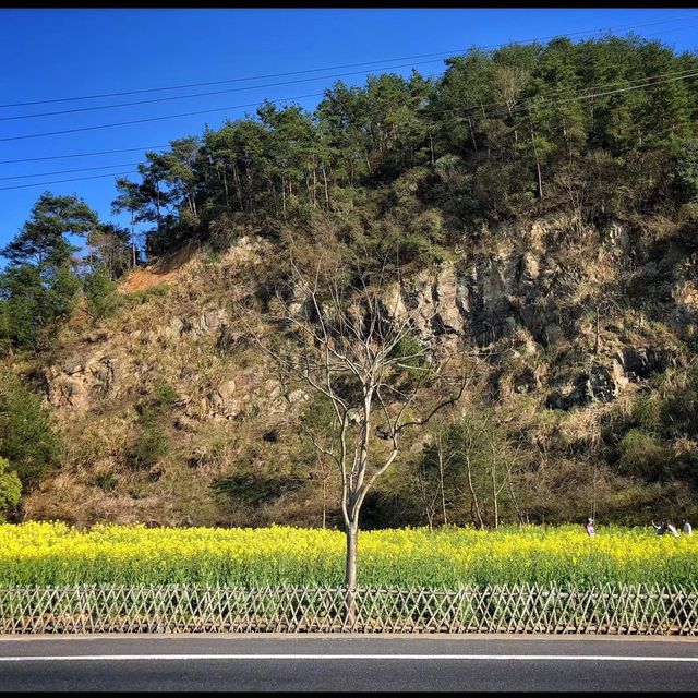 Spring in Thousand Island lake - China 🇨🇳 