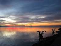 日內瓦湖畔的滄海遺珠 - Vevey