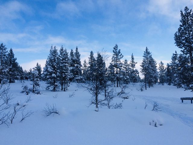 Inari, Northern Lapland, Finland 🇫🇮❄️☃️