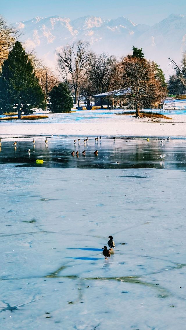 The ice and snow of Yancheng Lake.