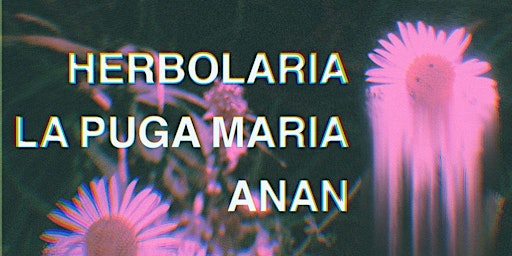 Herbolaria+La Puga María+ANAN | Cuerda Cultura