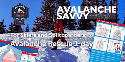 Avalanche Rescue : for Skiers and Split Boarders | Steamboat Springs