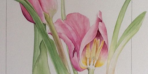 Botanical Art Workshop | Gibraltar Point National Nature Reserve