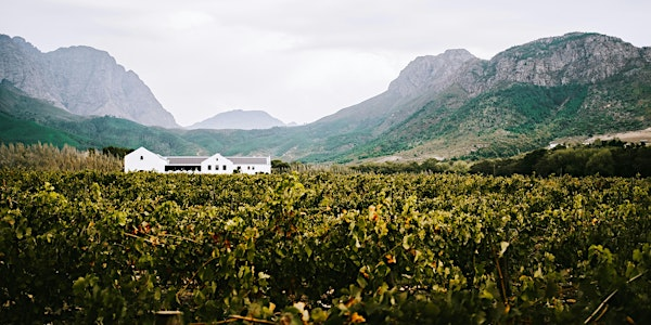 Back to the Cape: South Africa 2.0 | JAK's Beer Wine Spirits