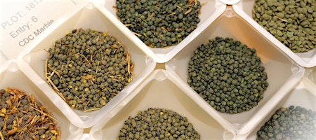 India – Canada Joint Pulse Protein Centre of Excellence Workshop | Private Dining Room at Marquis Hall