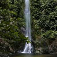 Curup lestari