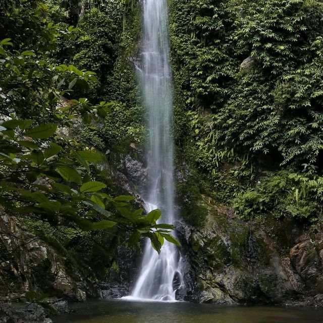 Curup lestari