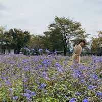 【群馬県】中之条ガーデンズ