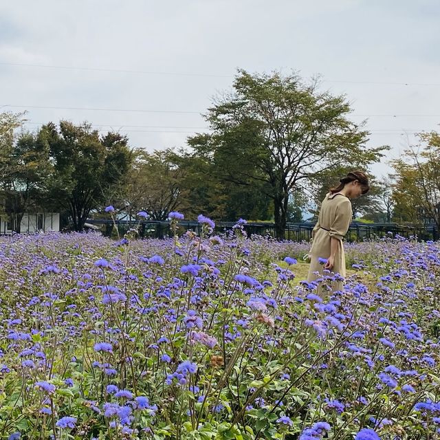 【群馬県】中之条ガーデンズ
