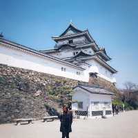 wakayama castle