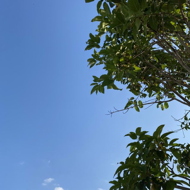 西九龍文化區M+ 又要出去朝聖