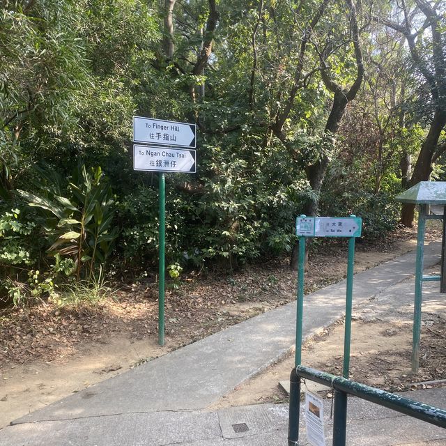 坪洲必行路線