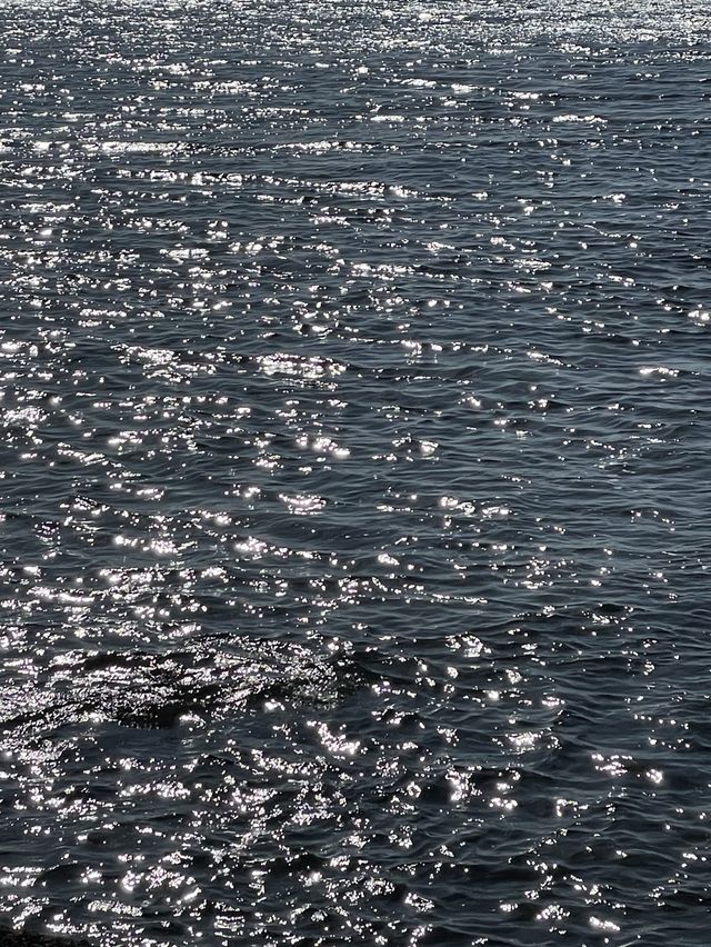 한국의 그랜드캐니언, 용머리해안🌊