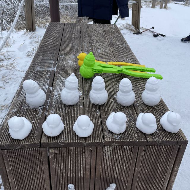 🏔미니 한라산, 어승생악에서 눈오리만들기❄️🐤