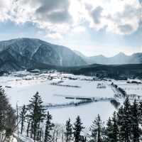 너도나도 인생샷 📸 쌉가능! 겨울 울릉도 나리분지❄️