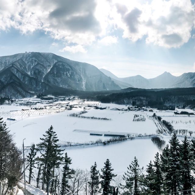 너도나도 인생샷 📸 쌉가능! 겨울 울릉도 나리분지❄️