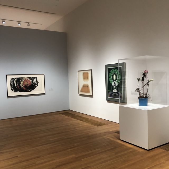 「個體．源流．表現」展覽