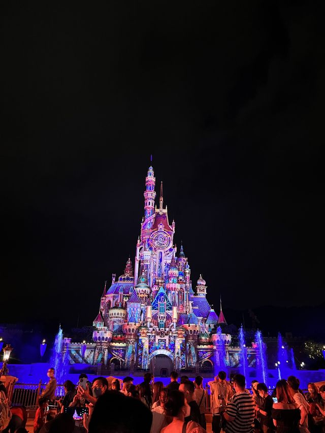 🎆迪士尼星夢光影之旅🎇