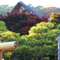 神奈川県にある三渓園！😆