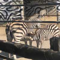 臺南頑皮世界動物園