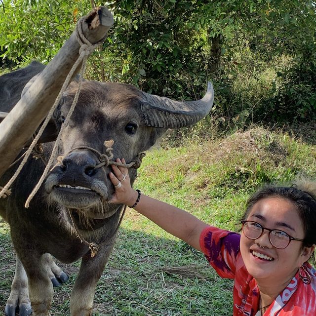 Retreat to pepper farm in Cambodia!