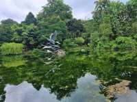 Nature Tranquil 