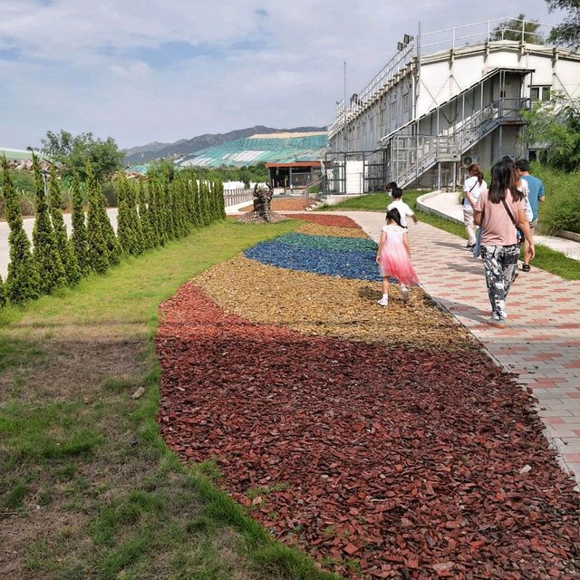 愛護環境，珍惜資源之旅