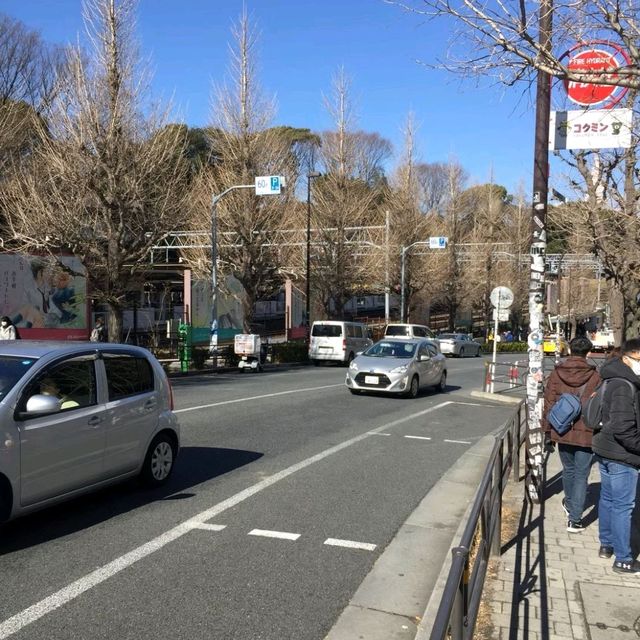 Tokyo| Japan พาไปเดินย่านฮาราจูกุ