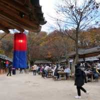 가을에 용인 가볼만한곳🍂한국민속촌
