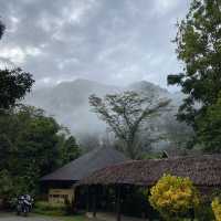 Our Jungle Camp - Eco Resort 🍃