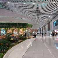 Vibrant again, Incheon International Airport