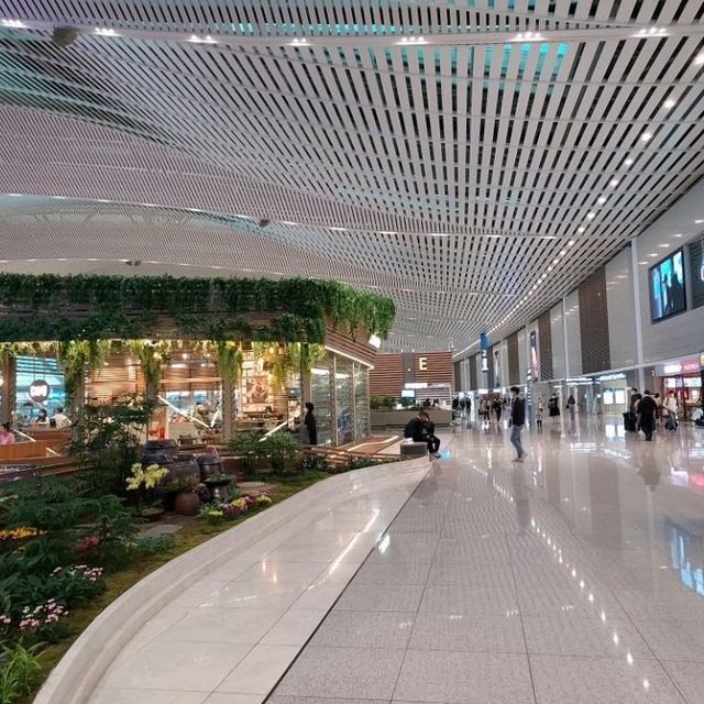 Vibrant again, Incheon International Airport