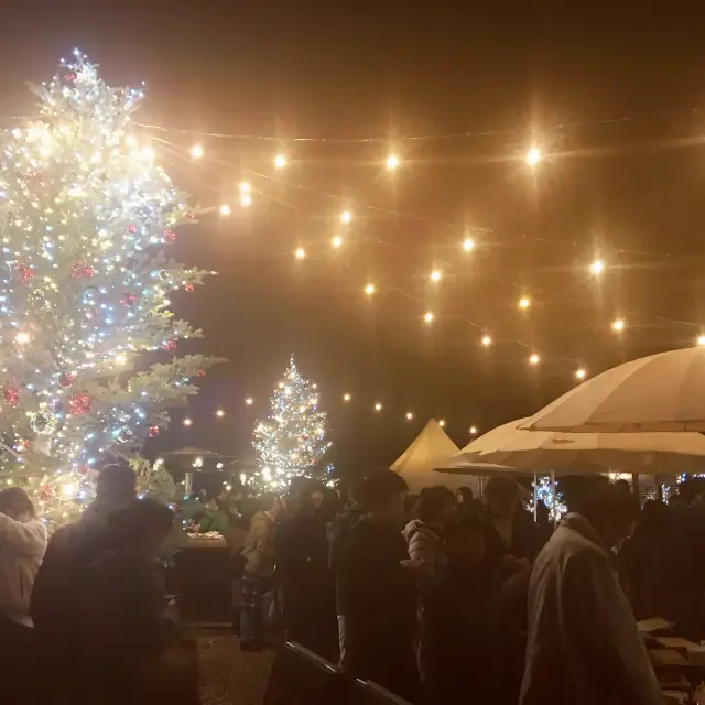 【埼玉県】メッツｧビレッジのクリスマス　北欧の森🎄✨