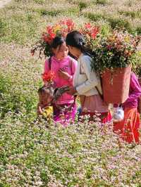 Hmong people in northern Vietnam 